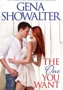 The One You Want epub