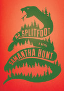 Mr. Splitfoot epub