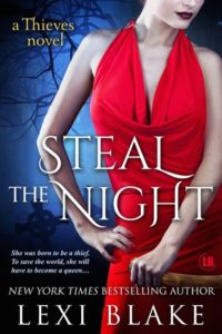 Steal the Night epub