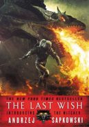 The Last Wish epub