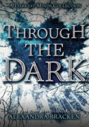 Through the Dark epub